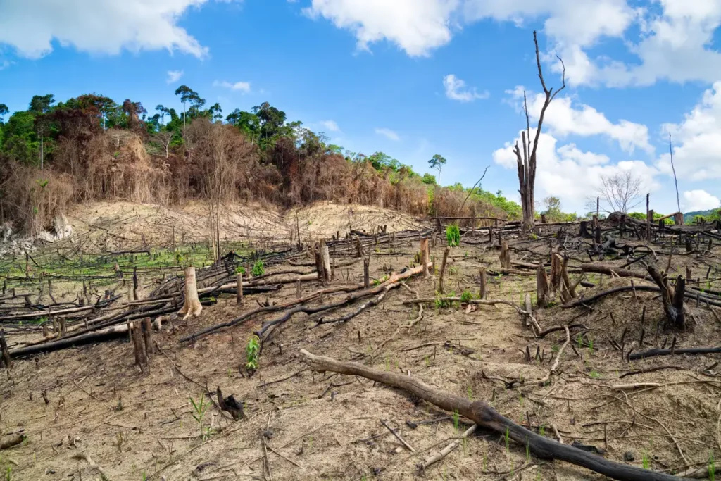 Climate Change and Ecosystems in Tanzania: Impact on Wildlife and Habitats